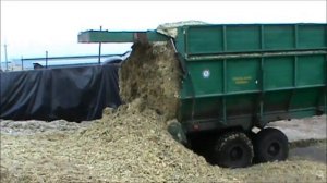 Уборка кукурузы на силос