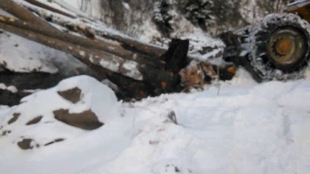 Skidder LKT 81