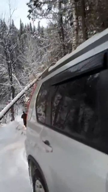 Бирюсинский залив на пузотерке 2 смотреть онлайн