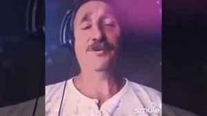 Сизая голубка