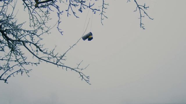 The winter begins (Cinematic Davinci Resolve Color Grading) Blackmagic production Camera 4K смотреть онлайн