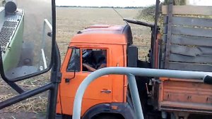 Дон680 .прицепной силосоуборочный комбайн Полесье и Ягуар 890 на уборке кукурудзы на силос .