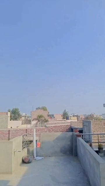 kite love comment vich eh wali emoji 🪁 send Karo #Shorts #kitelover #youtube смотреть онлайн