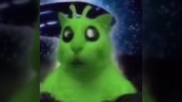 TESTTESTTEST
