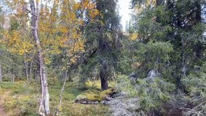 Хибины, база Куэльпорр и поход на гору Куэльпорр