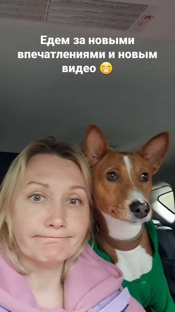 Никому не интересно на заднем сиденьи 😂 смотреть онлайн