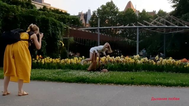 Неожиданные встречи Отдых в парке "Zielone Ogrodki" Польща Познань смотреть онлайн