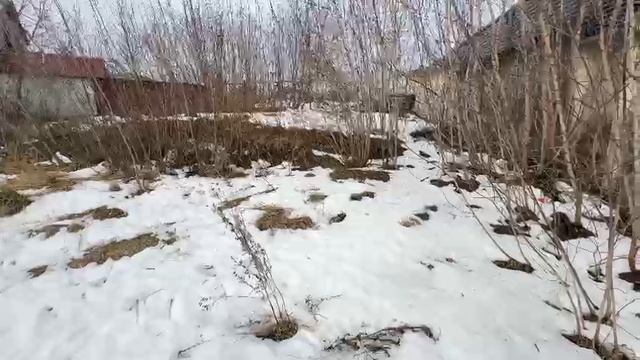 ВОЗНЕСЕНИЕ