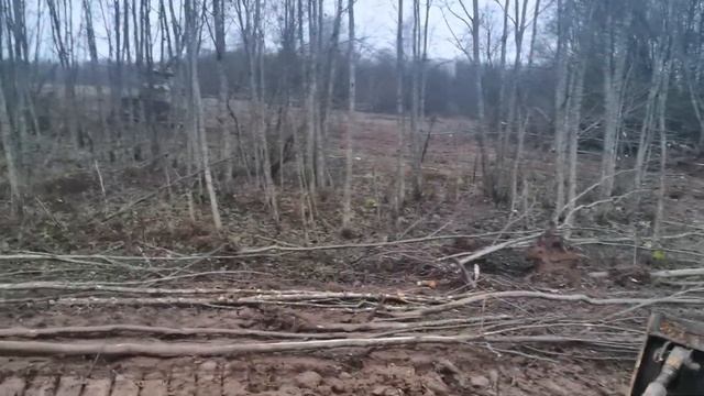 Корчевка бульдозером