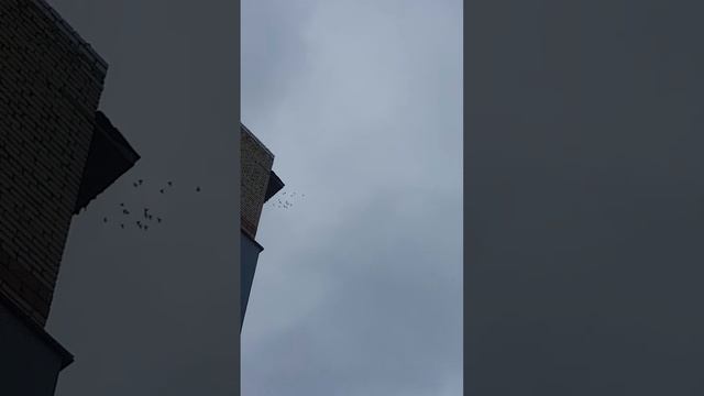 14 сентября 2022 г. смотреть онлайн