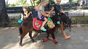 Зайчик_тв катается на Барби по Одессе