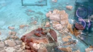 Я могу лишь представить