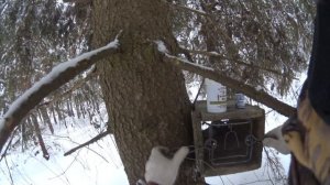 Установка  КП 120 в ящик с пахучей приманкой. Быстрая установка.