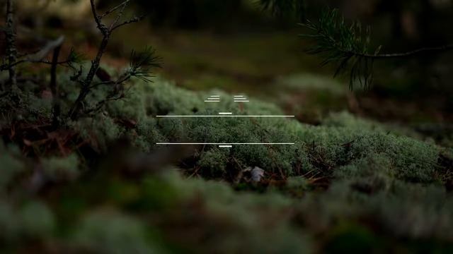 Wedding Macro 4.0 DaVinci Resolve Macros смотреть онлайн