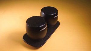 Sardine F1 Review | Best Stereo TWS Speaker