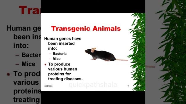 Genetic Engineering Ppt Presentation Seminar