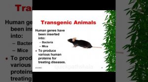 Genetic Engineering Ppt Presentation Seminar