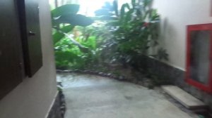 Отель Diamond Bay Resort & Spa (Вьетнам, Нячанг)