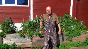 Самый бюджетный ,утеплённый мини-парник для открытого грунта-