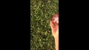 Летающий спиннер- бумеранг