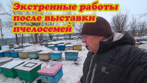КАКИЕ СДЕЛАЛ ЭКСТРЕННЫЕ РАБОТЫ С ПЧЕЛОСЕМЬЯМИ ПОСЛЕ ВЫСТАВКИ НА ТОЧОК.