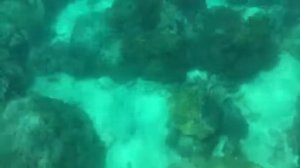 Вьетнам Фукуок снорклинг