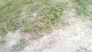 КОРОЧЕ ГОВОРЯ GTA San Andreas В Реальной Жизни