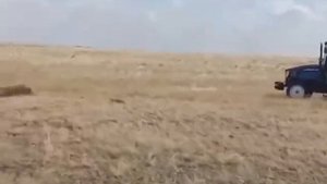Ловол 604 , в работе с пресс подборщиком