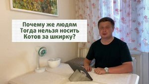 Можно ли брать Кота за шкирку? #КотСемён знает. 5 выпуск.