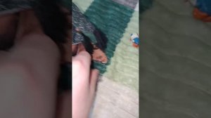 Чёрный плащ. 4 сезон 1 серия