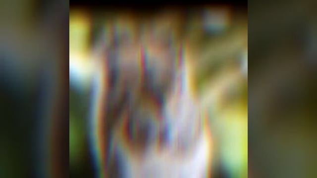 superhero🦸♂️ गिलहरी#shorts #youtubeshortsvideo смотреть онлайн