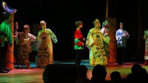 Спектакль "Царевна-Лягушка" музыкального театра "Галлагрант" для СКОШИ №102
