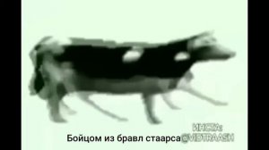 Польская корова (Что я слышу)#Польскаякорова#Ремикс#Украина#тренды