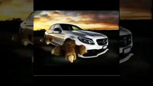 Прикол У лукоморья дуб срубили