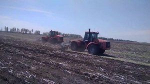 Кировцы и Джондир на глубокорыхлении с плугами ПШУ-8.