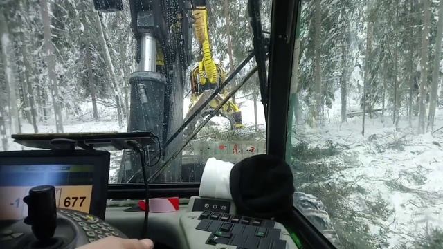 То одно. То другое. Лес. смотреть онлайн