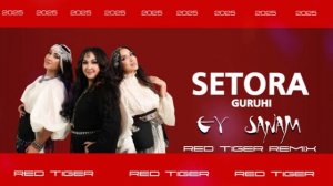 Setora - Ey Sanam _ Red Tiger remix
