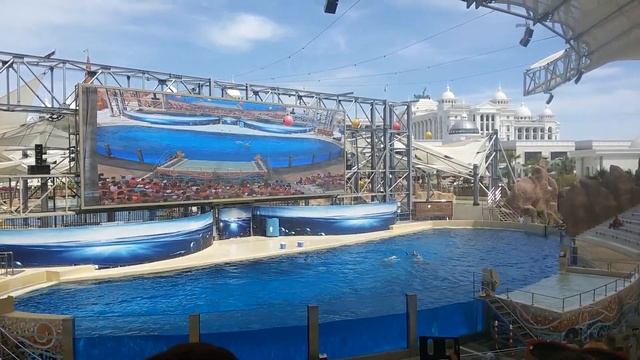 Шоу в парке развлечений The Land of Legends Theme Park смотреть онлайн