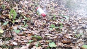 Утилизация просроченного огнетушителя.