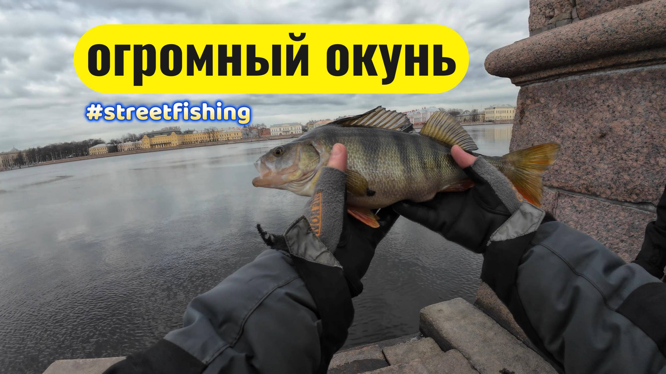 #рыбалка #спиннинг | Трофейная рыбалка | Поймал окуня на гк |