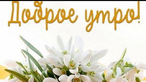 С добрым утром друзья!