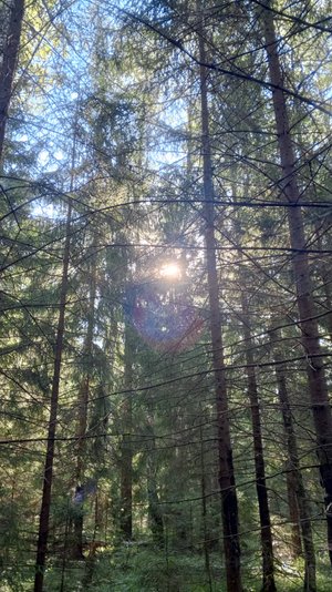 "Мертвая деревня".