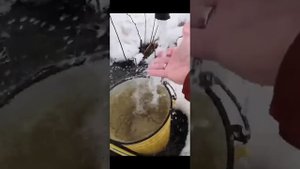 Абиссинская скважина СНТ Хуторок Рощино Выборгский район 1м3/час