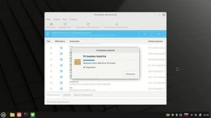 обновление пакетов после первого запуска Linux Mint 22.1 Cinnamon