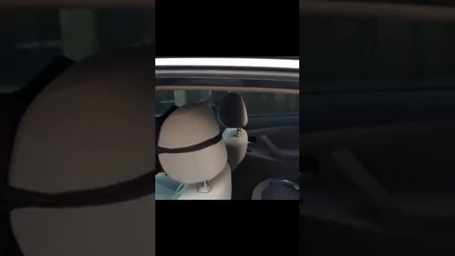 Режим доводчика стекол камри БК смотреть онлайн