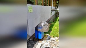 Иношепатяне под Белухой. Алтай. Белуха. Лето2023