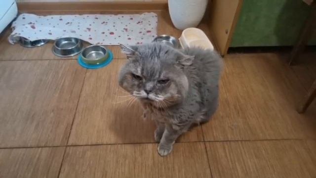 Тёпа