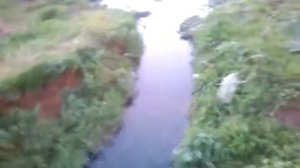 с Аверино  11,06,2017 г