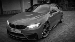 🥀Мой Дикий Сад В крилях Вороны Над Людьми Руинами 🥀