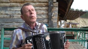 Старинная казачья песня ""Лети пташка-канарейка" - Песни под баян